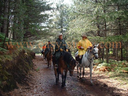 mount_etna_riding4